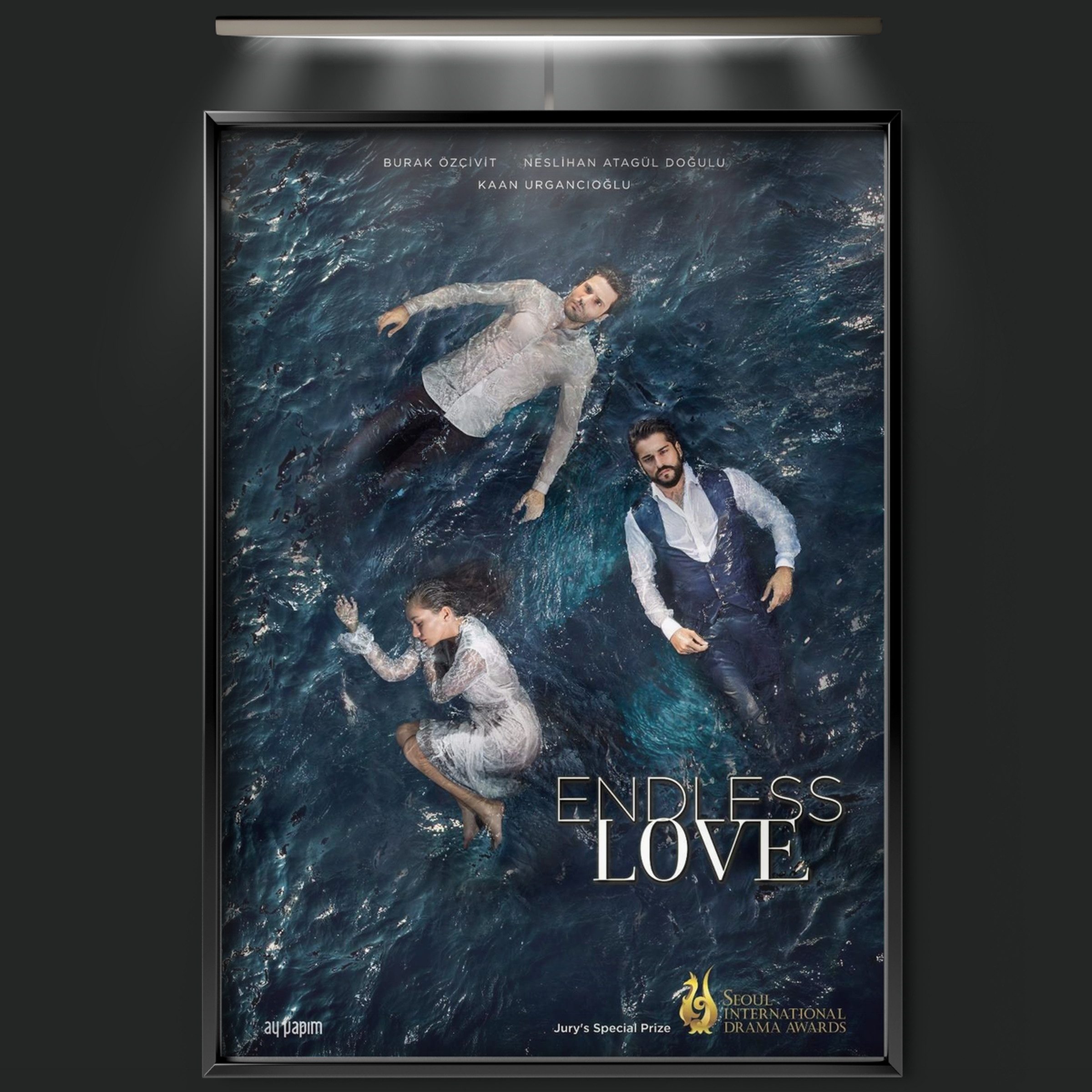 Endless Love (2015)