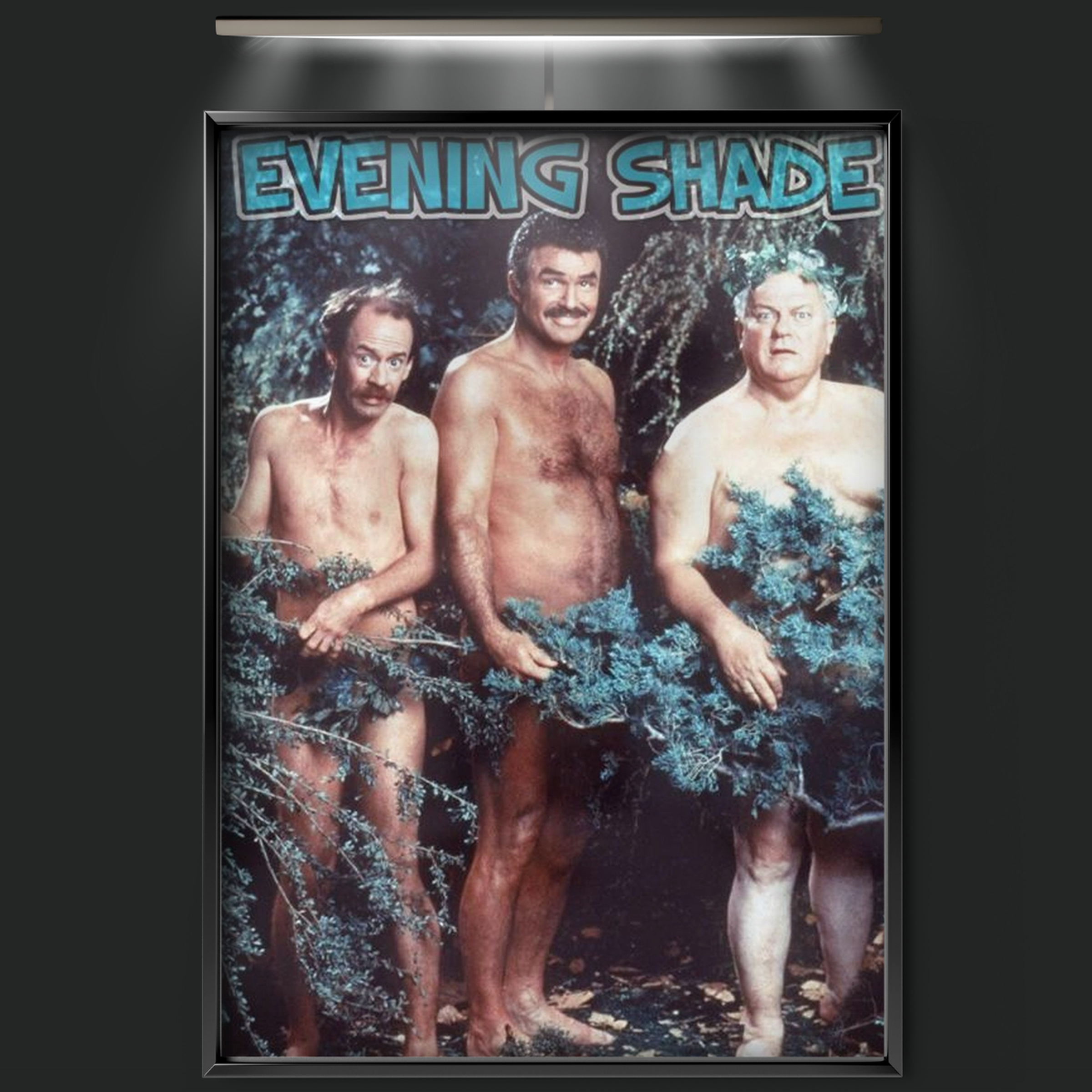 Evening Shade (1990)