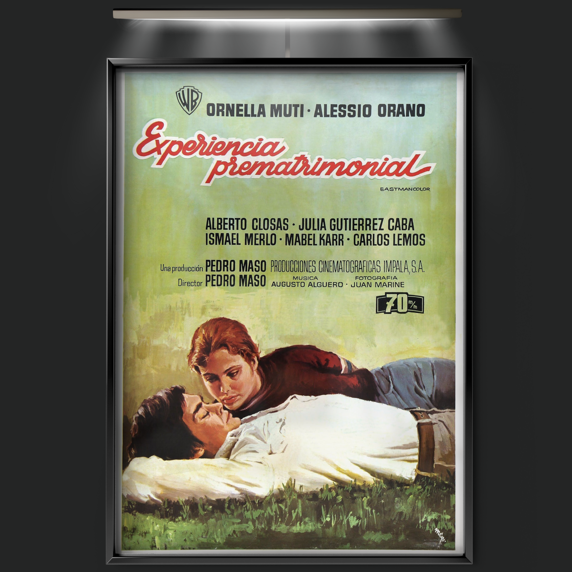 Experiencia Prematrimonial (1972)