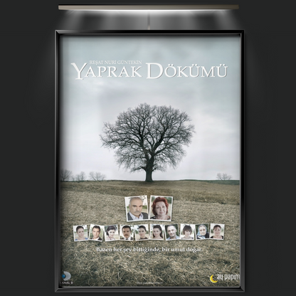 Falling Leaves (2006)