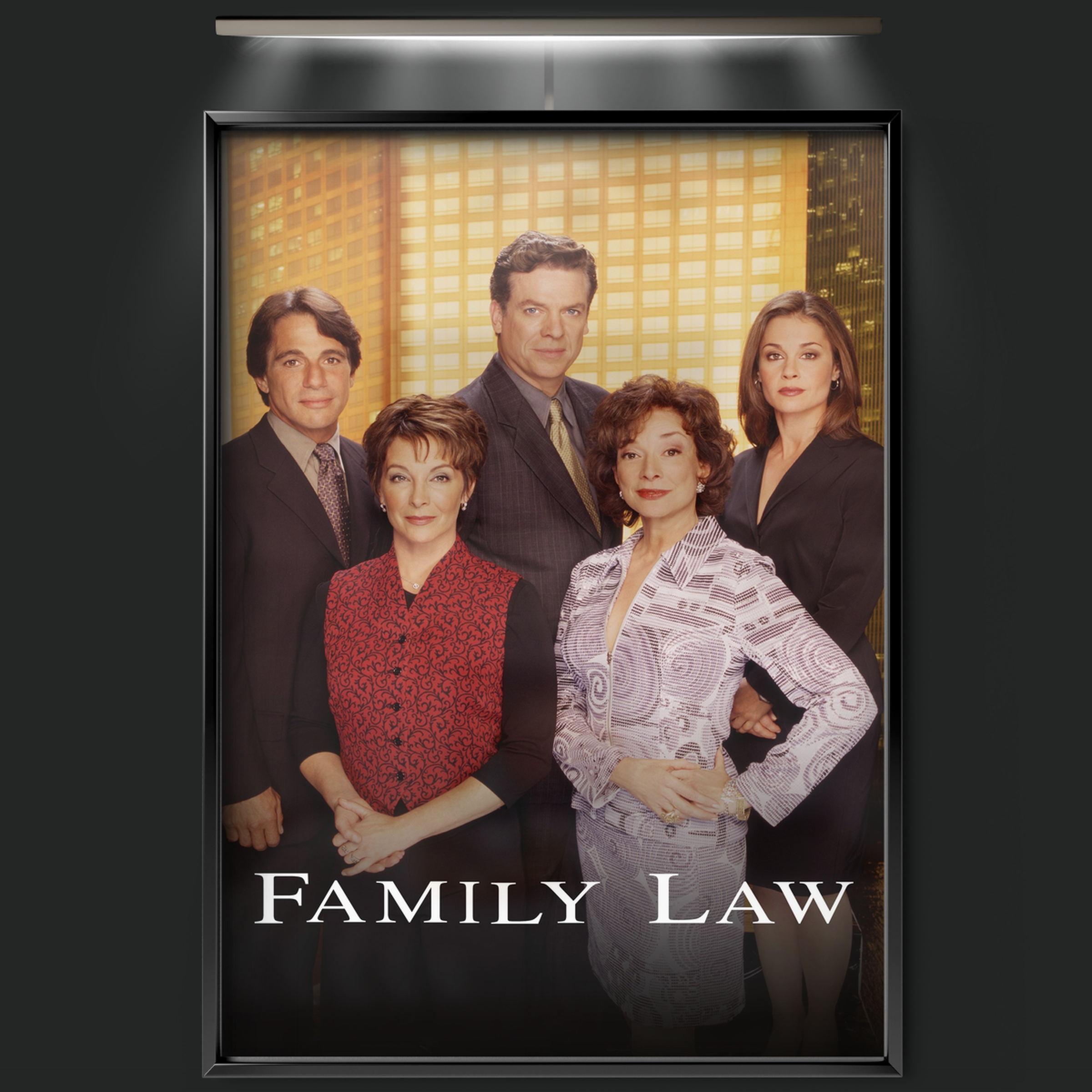 Family Law (1999)