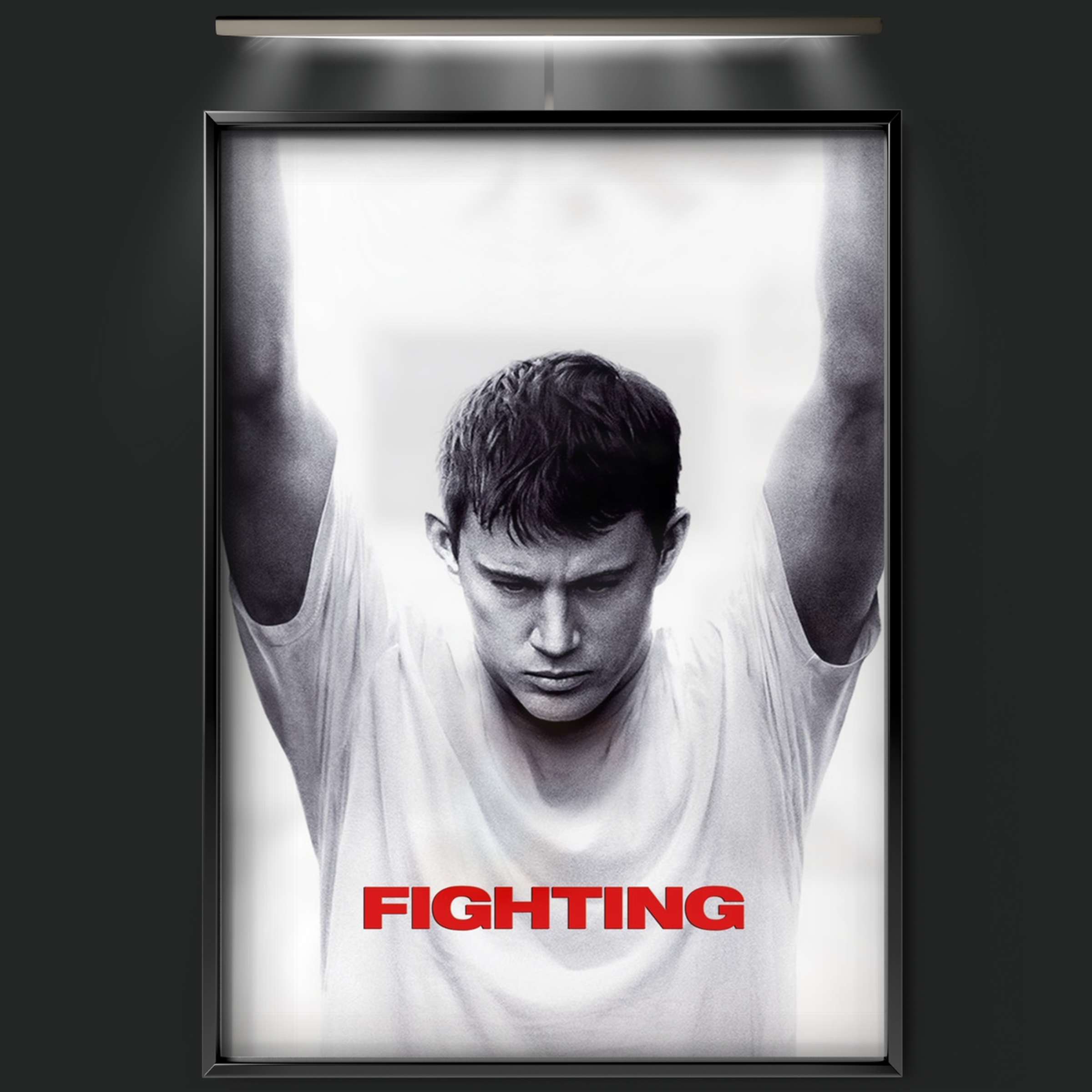 Fighting (2009)