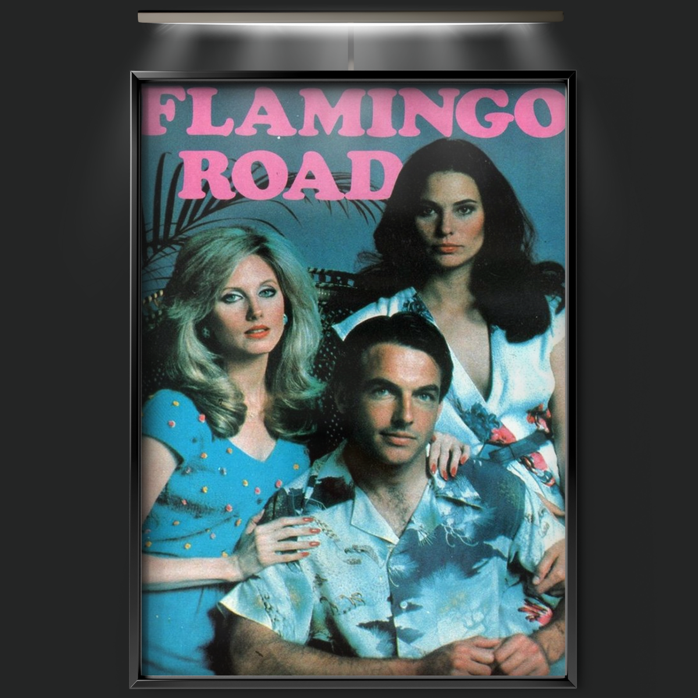 Flamingo Road (1981)