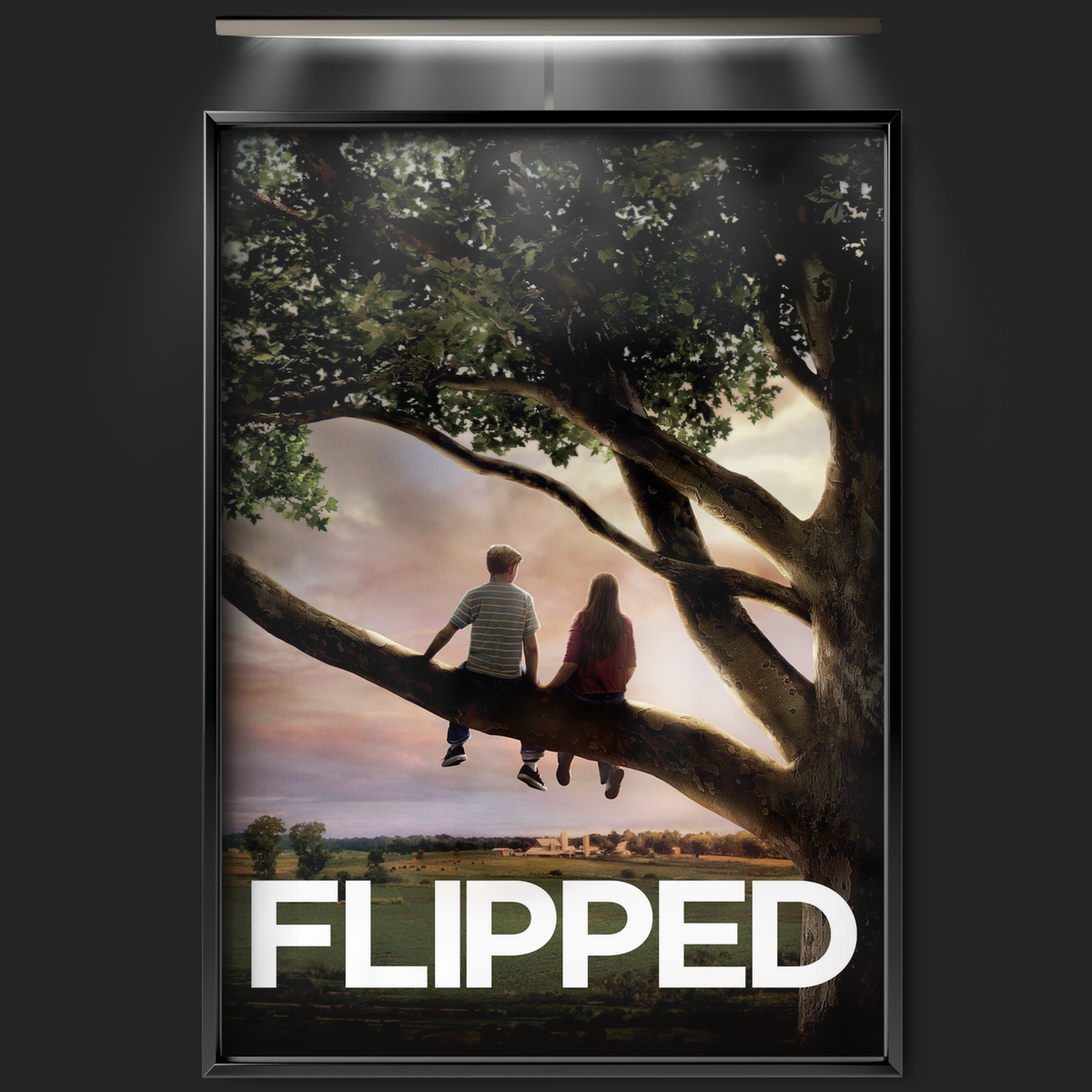 Flipped (2010)