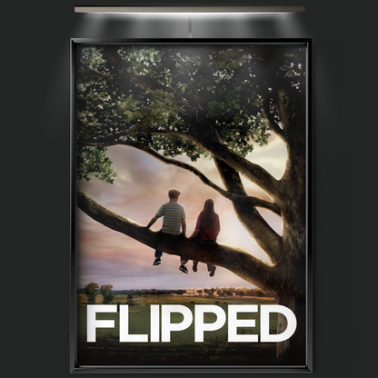 Flipped (2010)