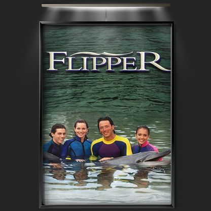Flipper (1995)