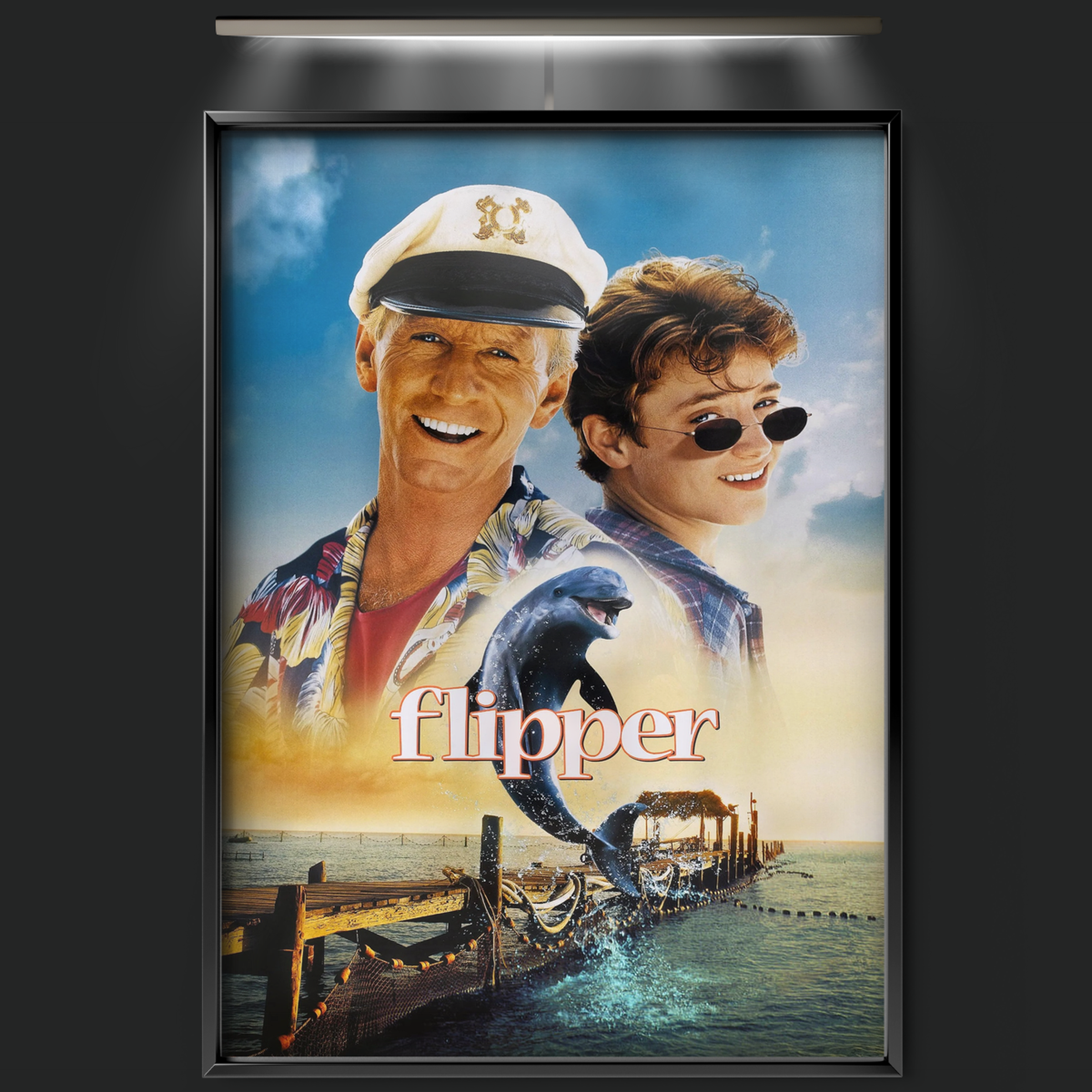 Flipper (1996)