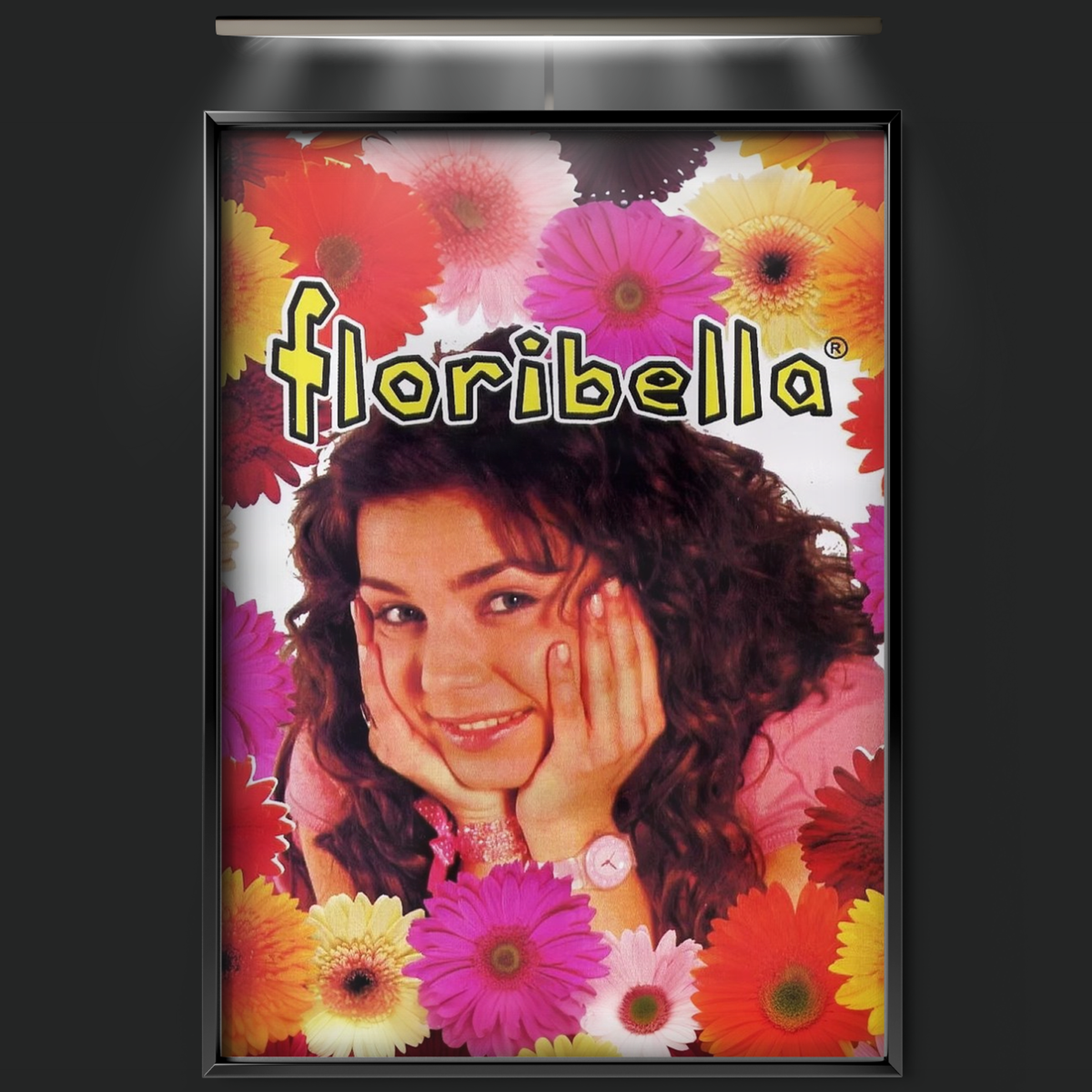 Floribella (2006)