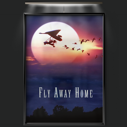 Fly Away Home (1996)