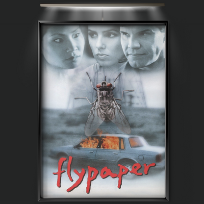 Flypaper (1999)
