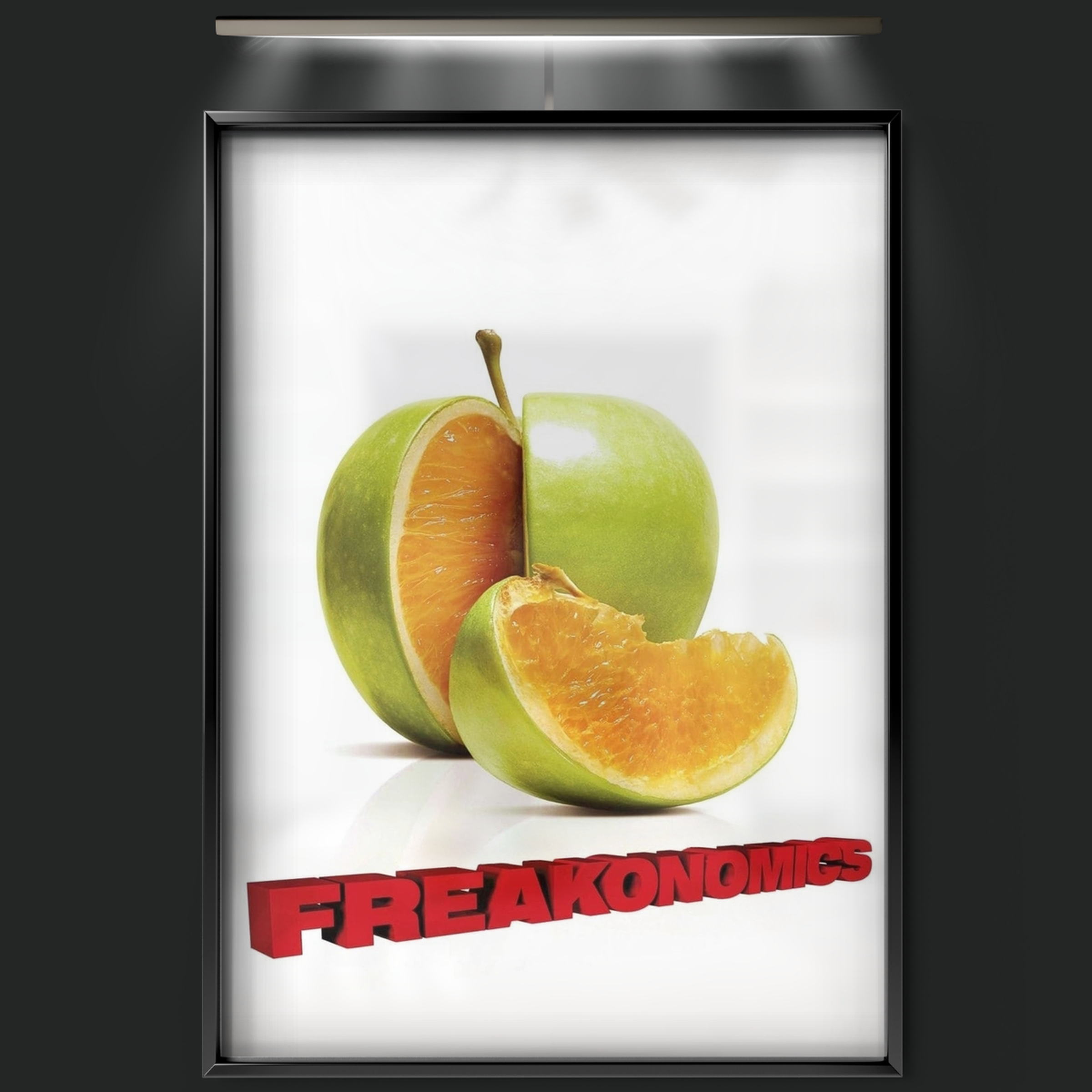Freakonomics (2010)