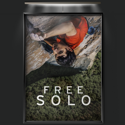 Free Solo (2018)