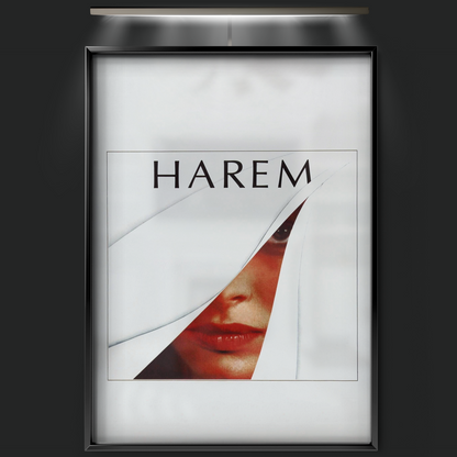 Harem (1985)