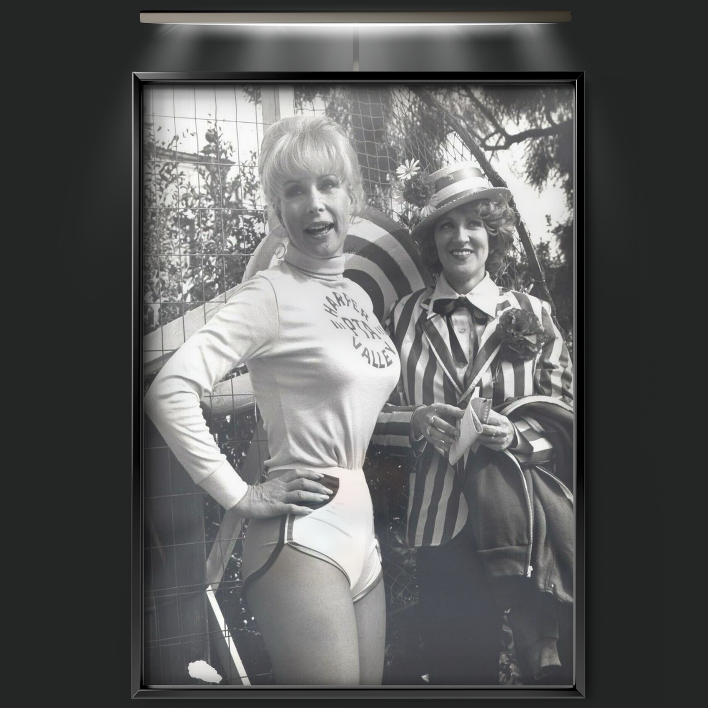 Harper Valley (1981)