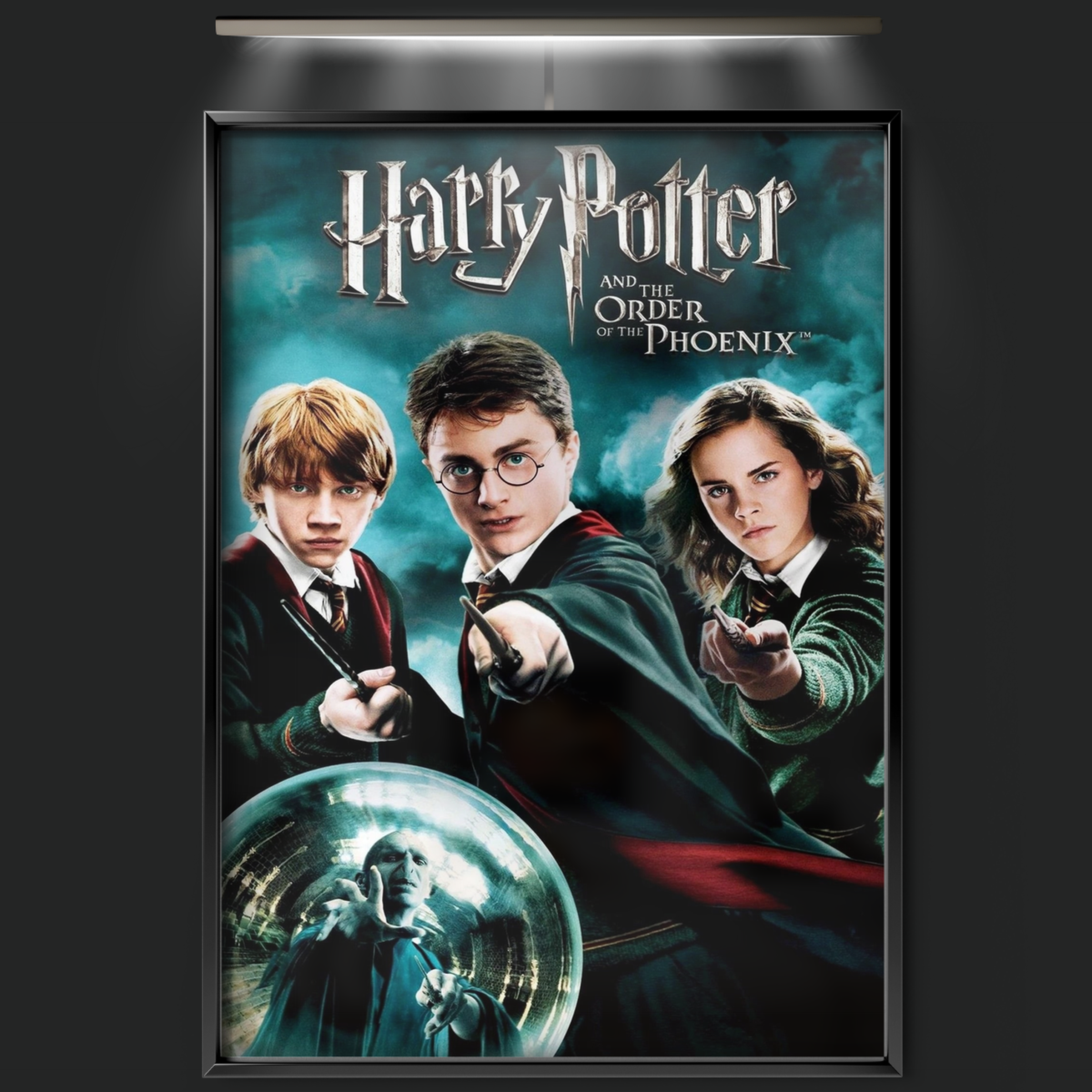 Harry Potter And The Order Of The Phoenix (2007)