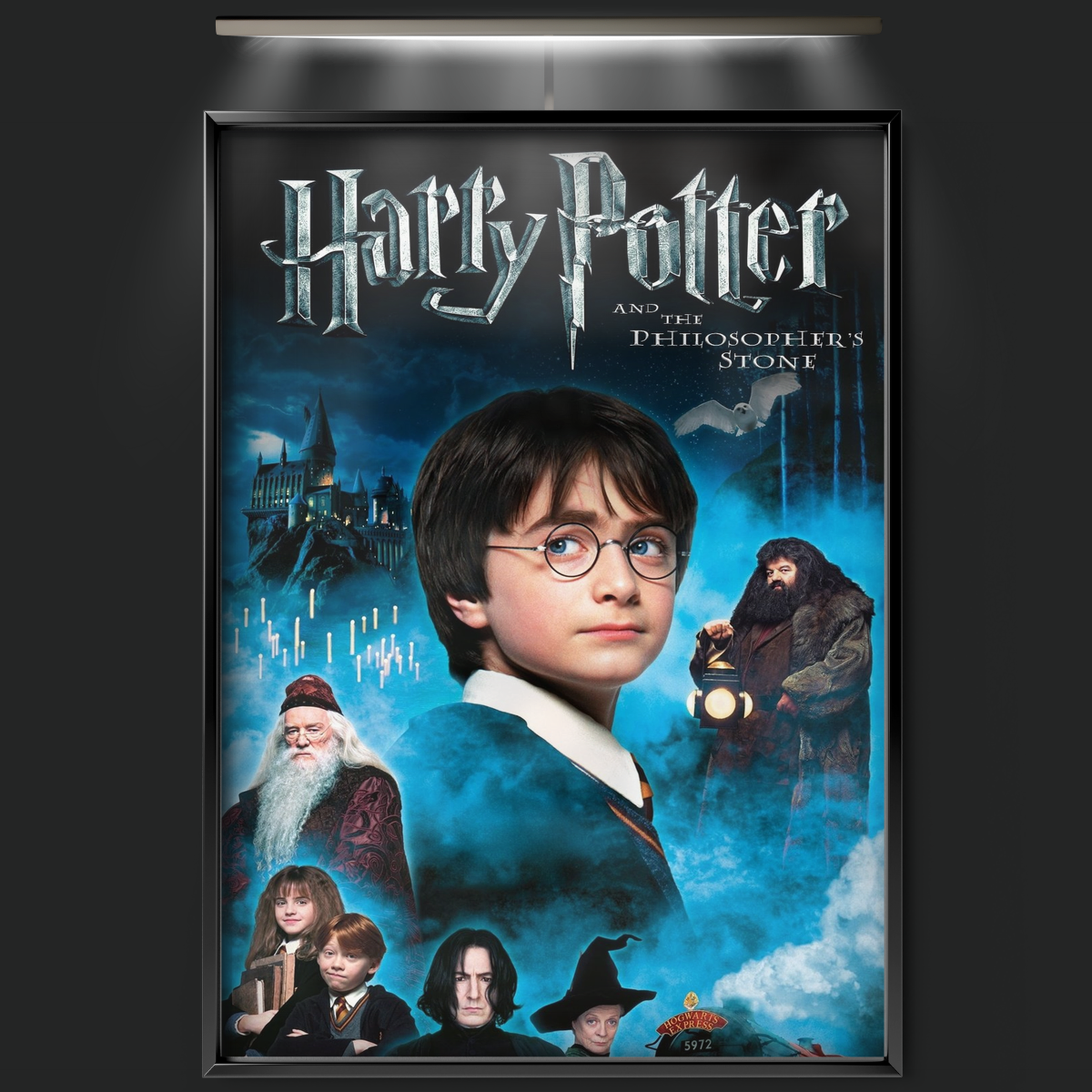 Harry Potter And The Philosopher's Stone (2001)