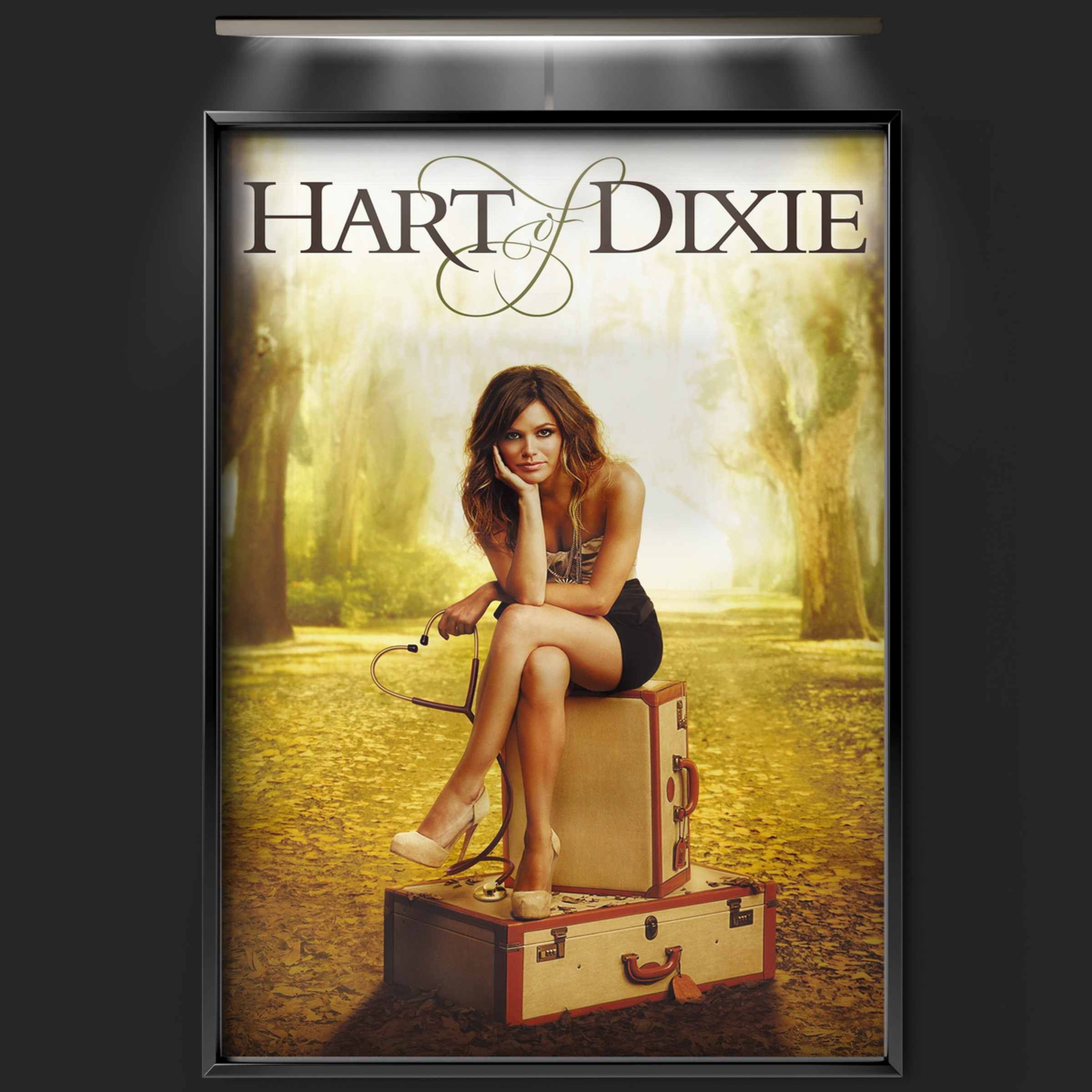 Hart Of Dixie (2011)