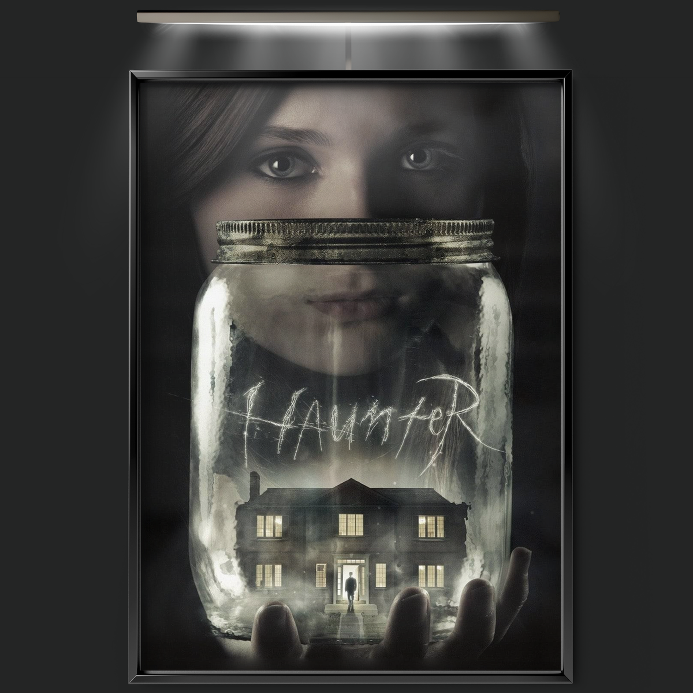 Haunter (2013)