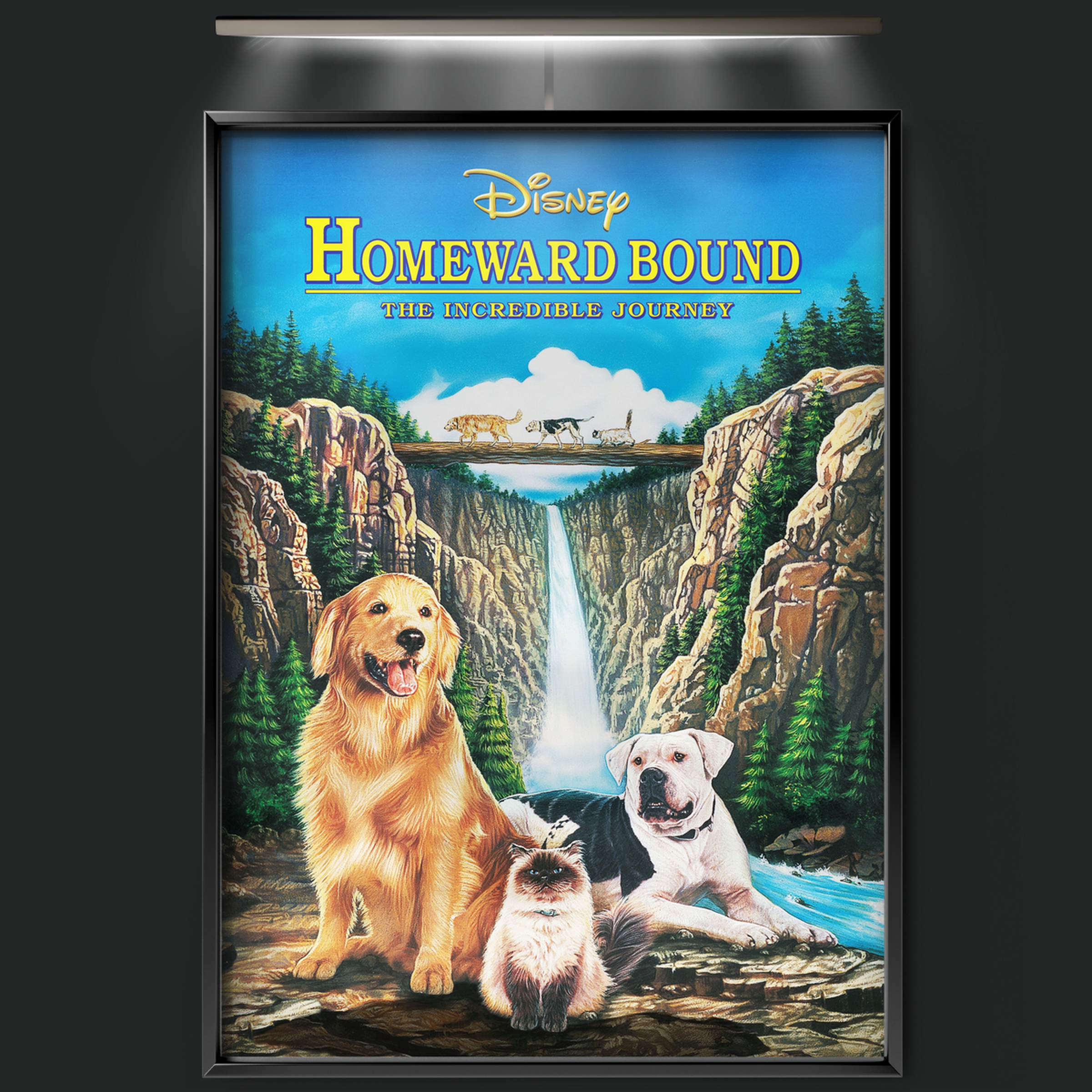 Homeward Bound The Incredible Journey (1993)