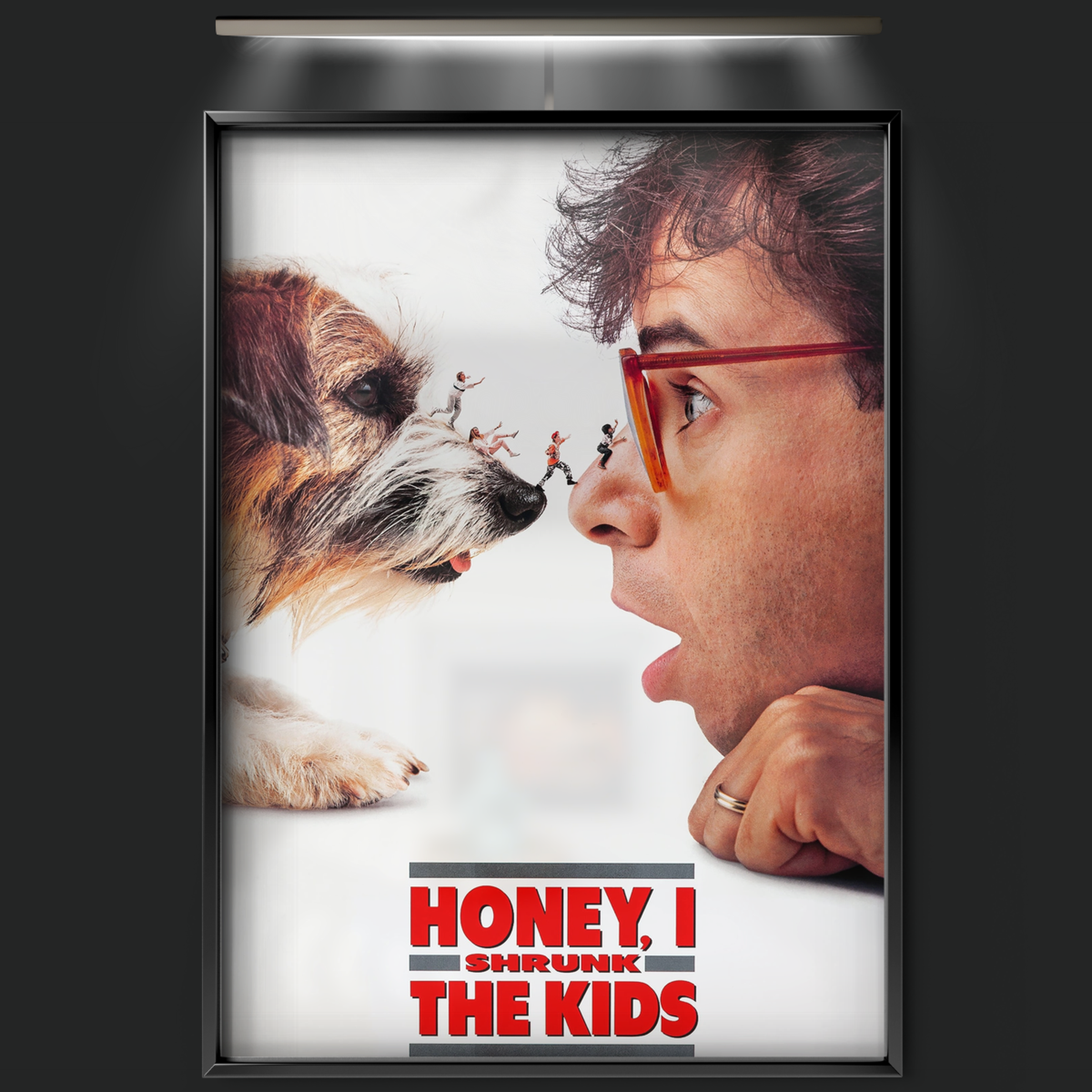 Honey, I Shrunk The Kids (1989)