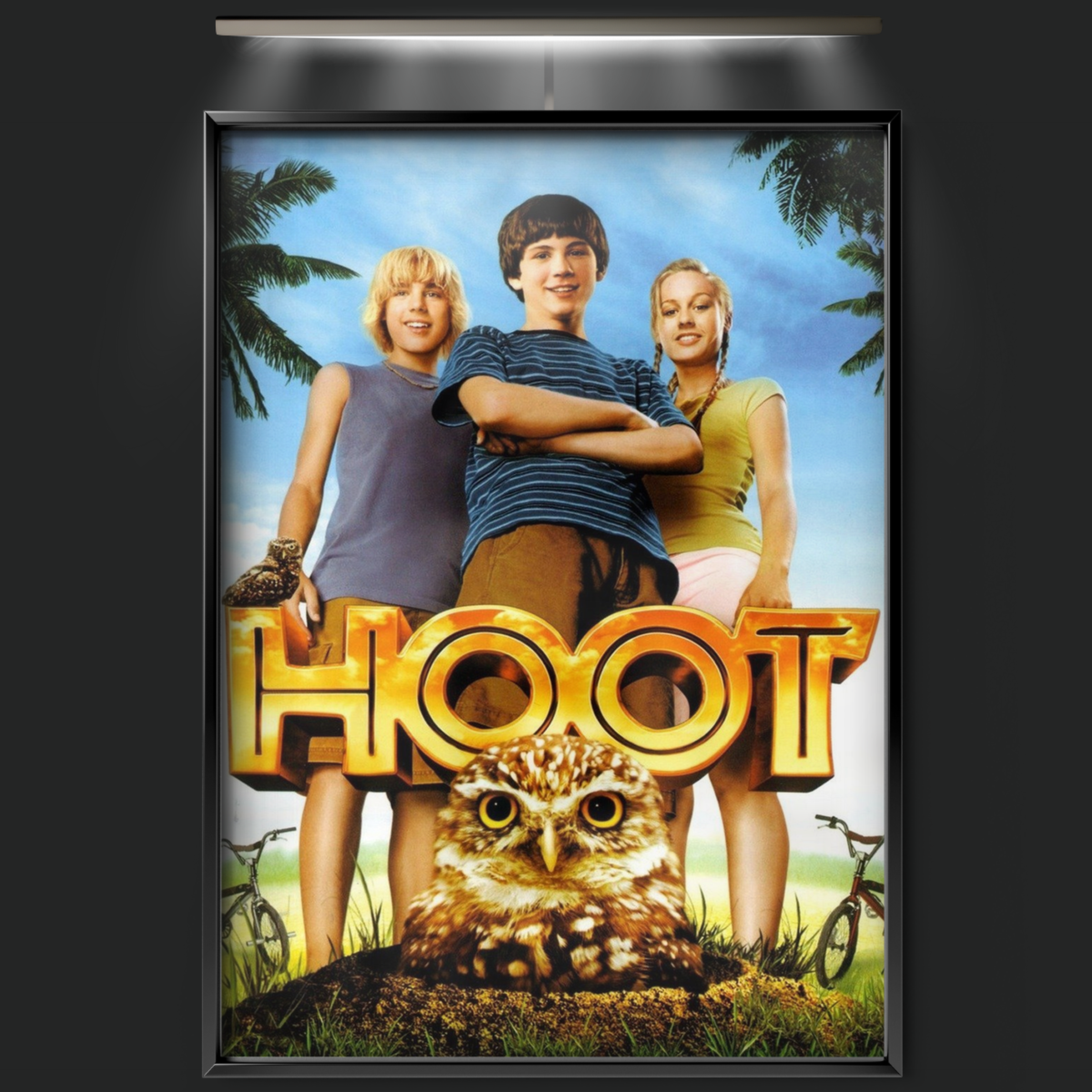 Hoot (2006)