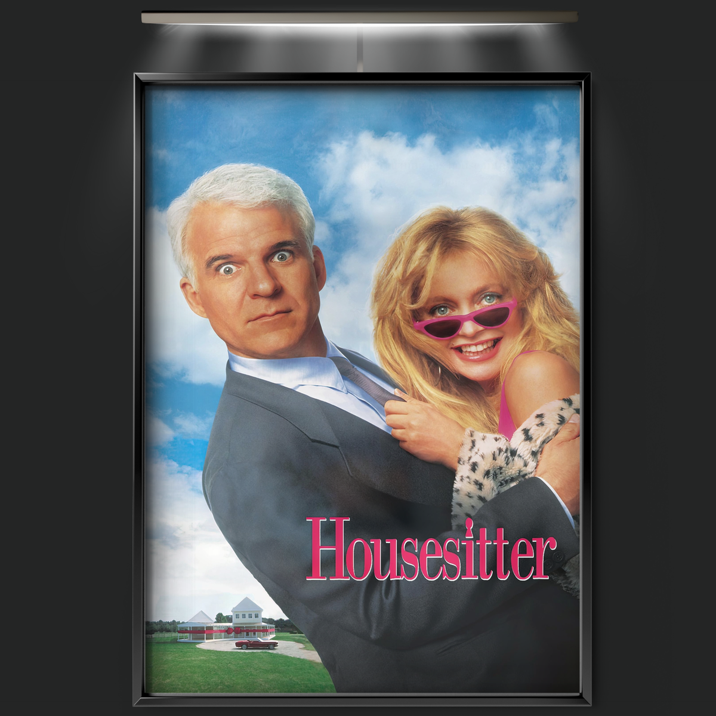 Housesitter (1992)