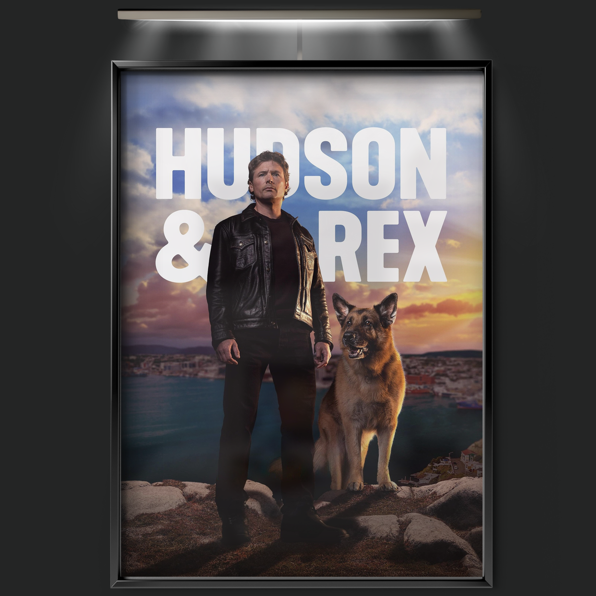 Hudson & Rex (2019)