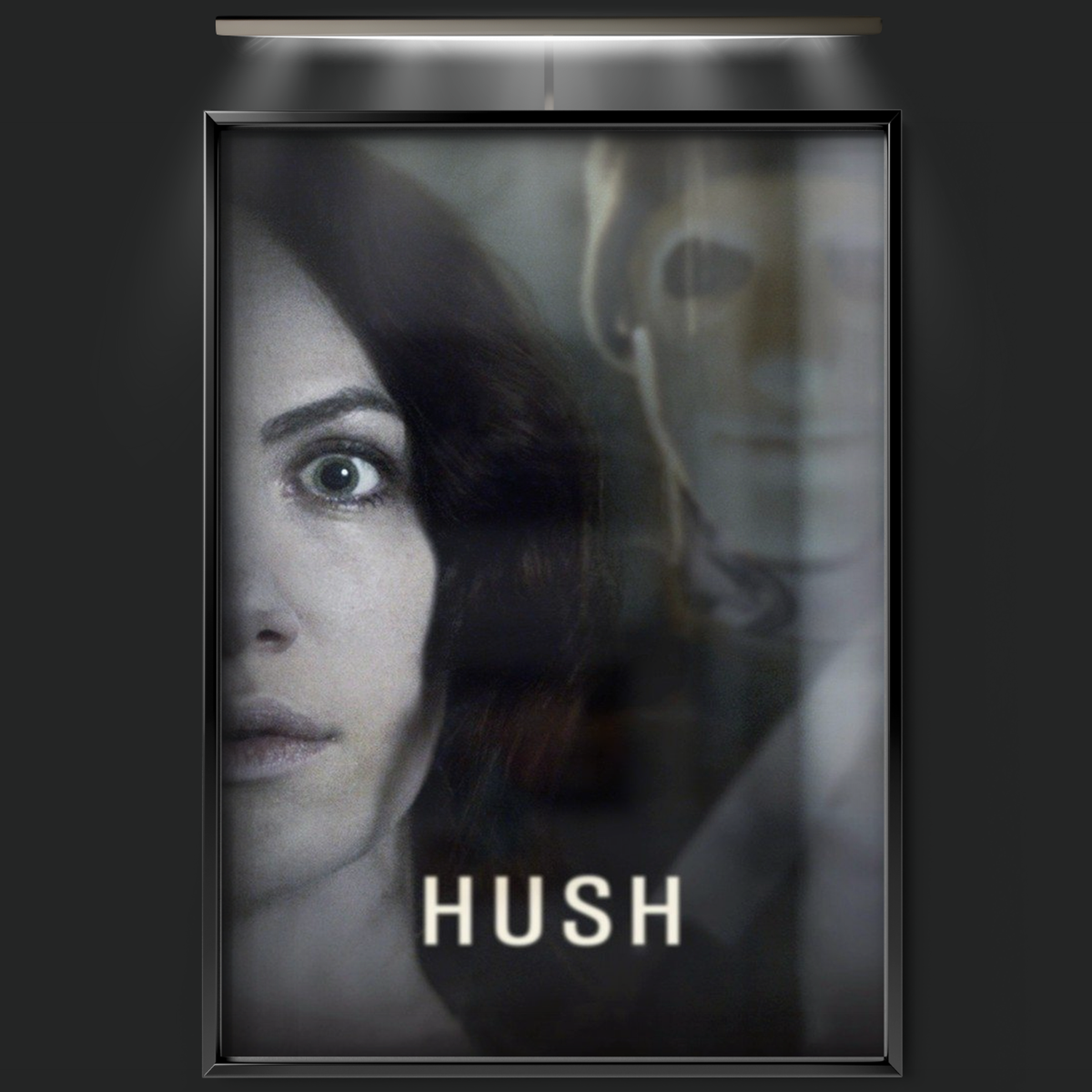 Hush (2016)