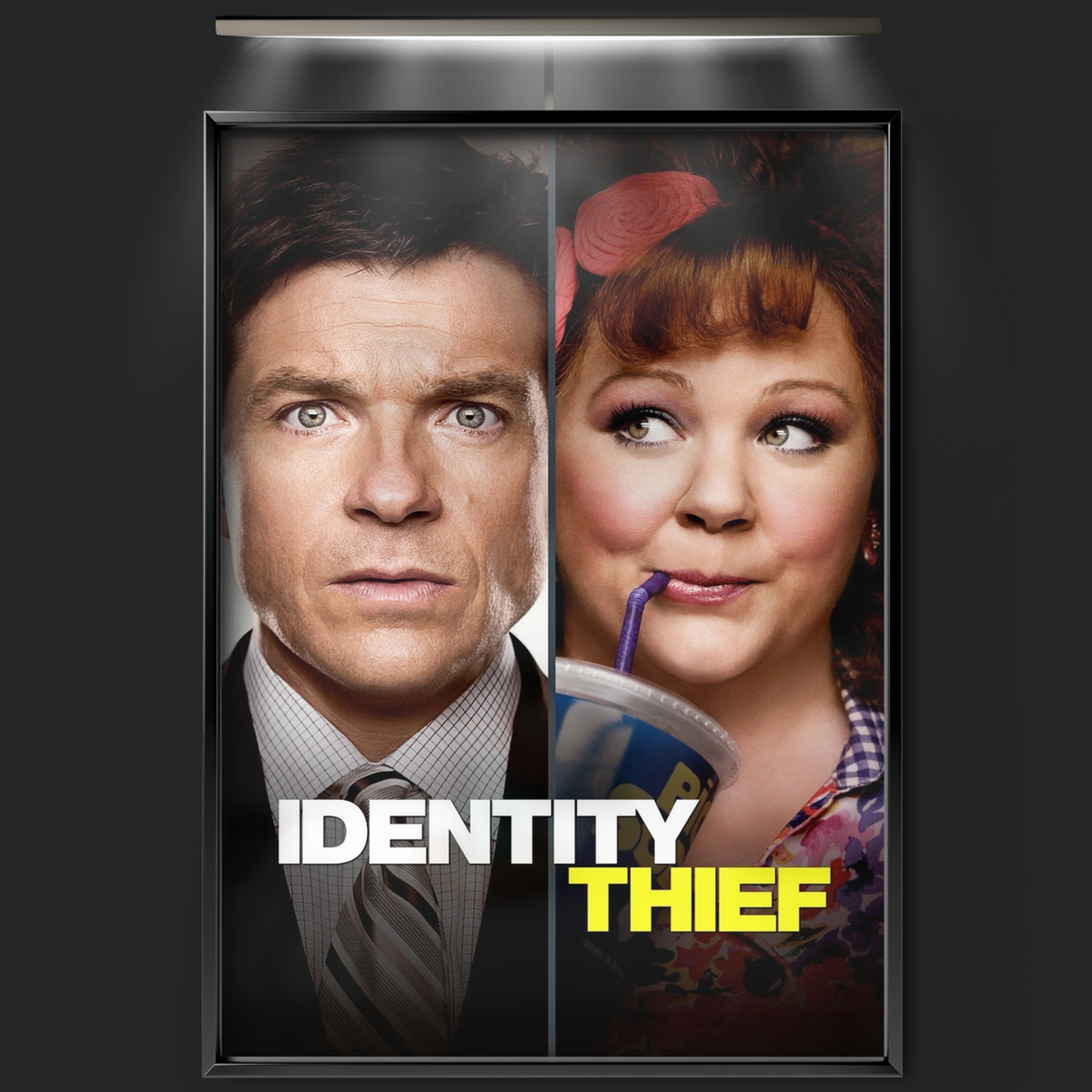 Identity Thief (2013)