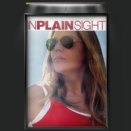 In Plain Sight (2008)