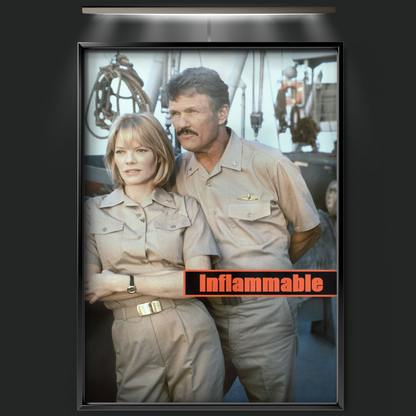 Inflammable (1995)