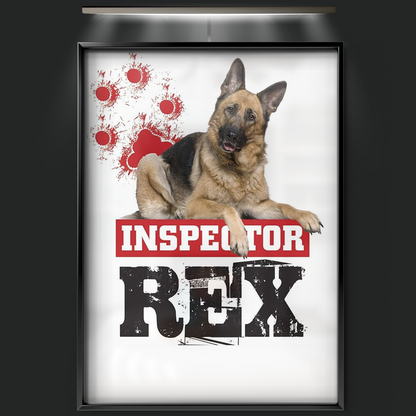 Inspector Rex (1994)