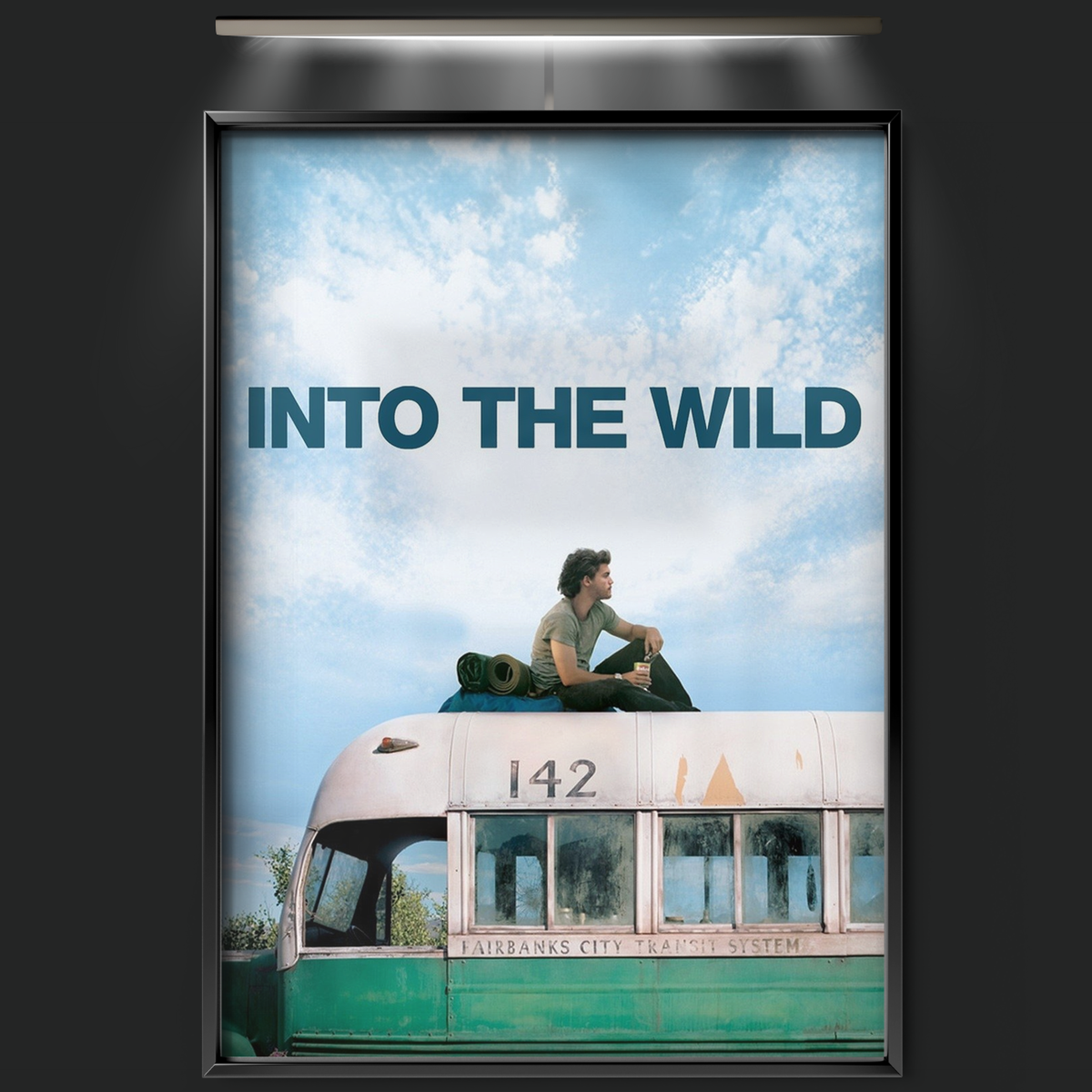 Into The Wild (2007)