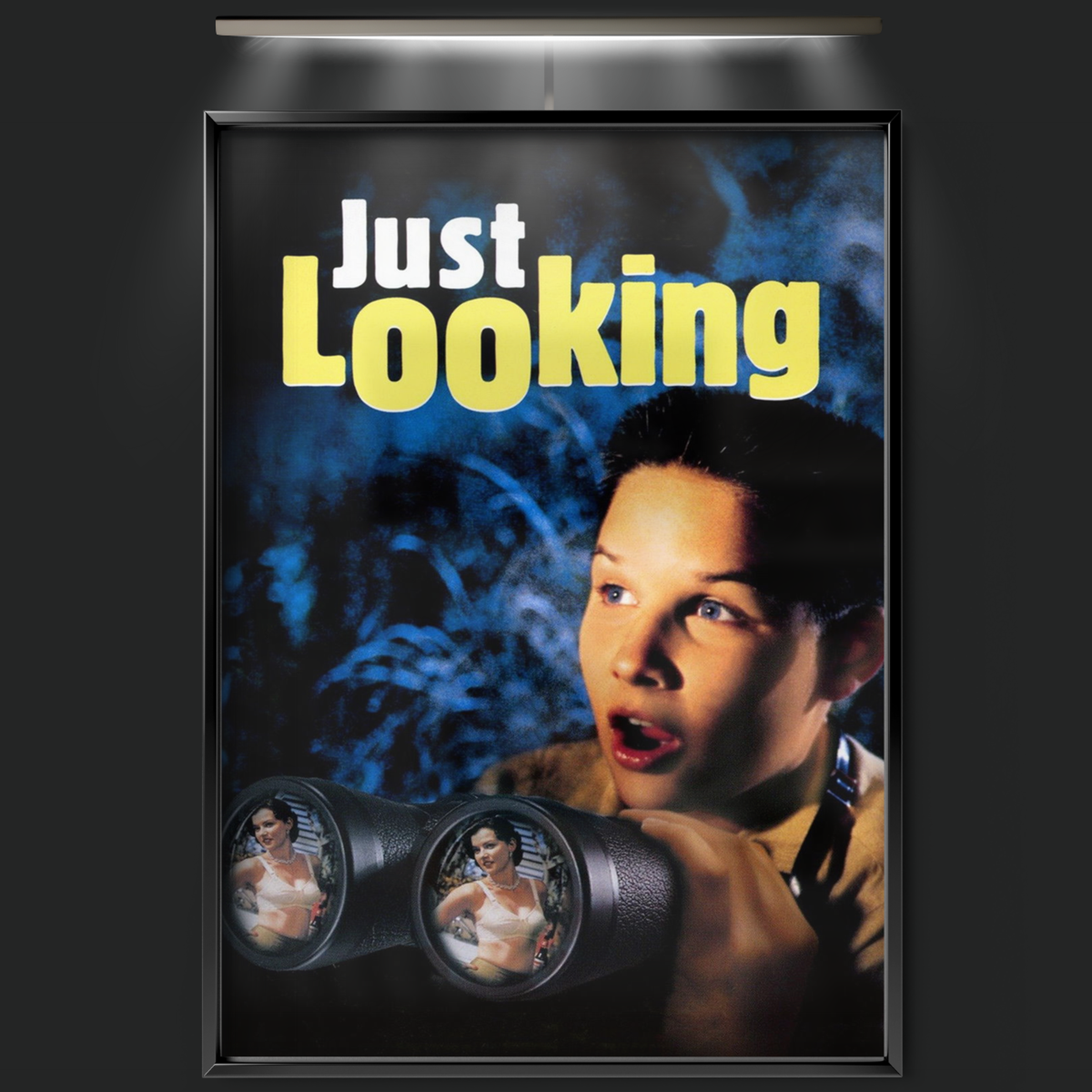 Just Looking (1999)