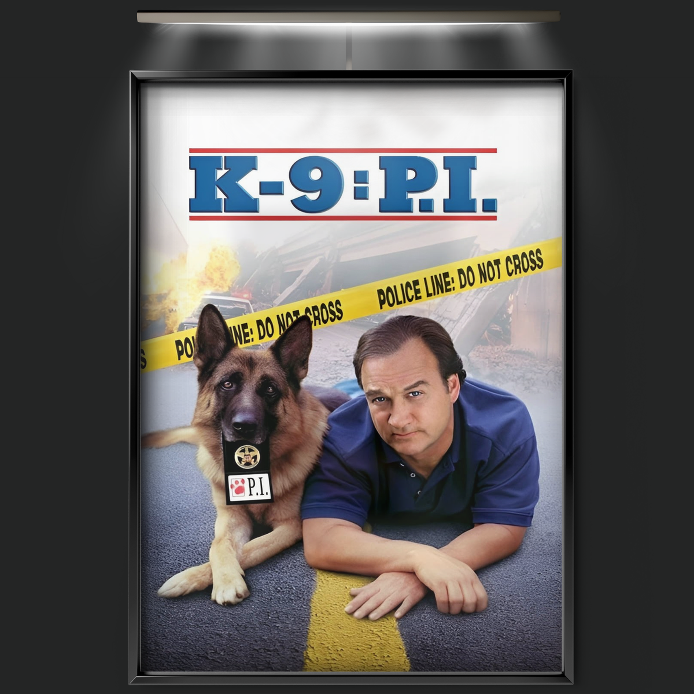 K 9 P.i. (2002)