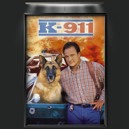 K 911 (1999)