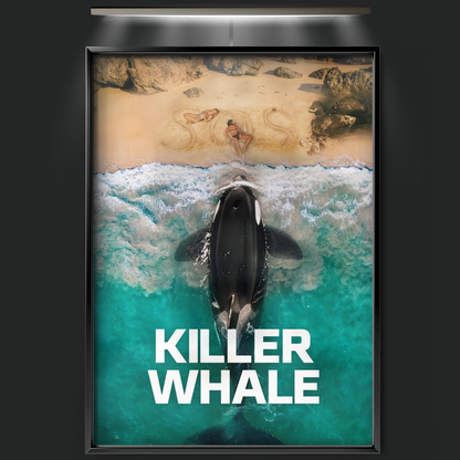 Killer Whale (2026)