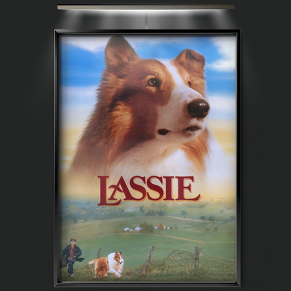 Lassie (1994)