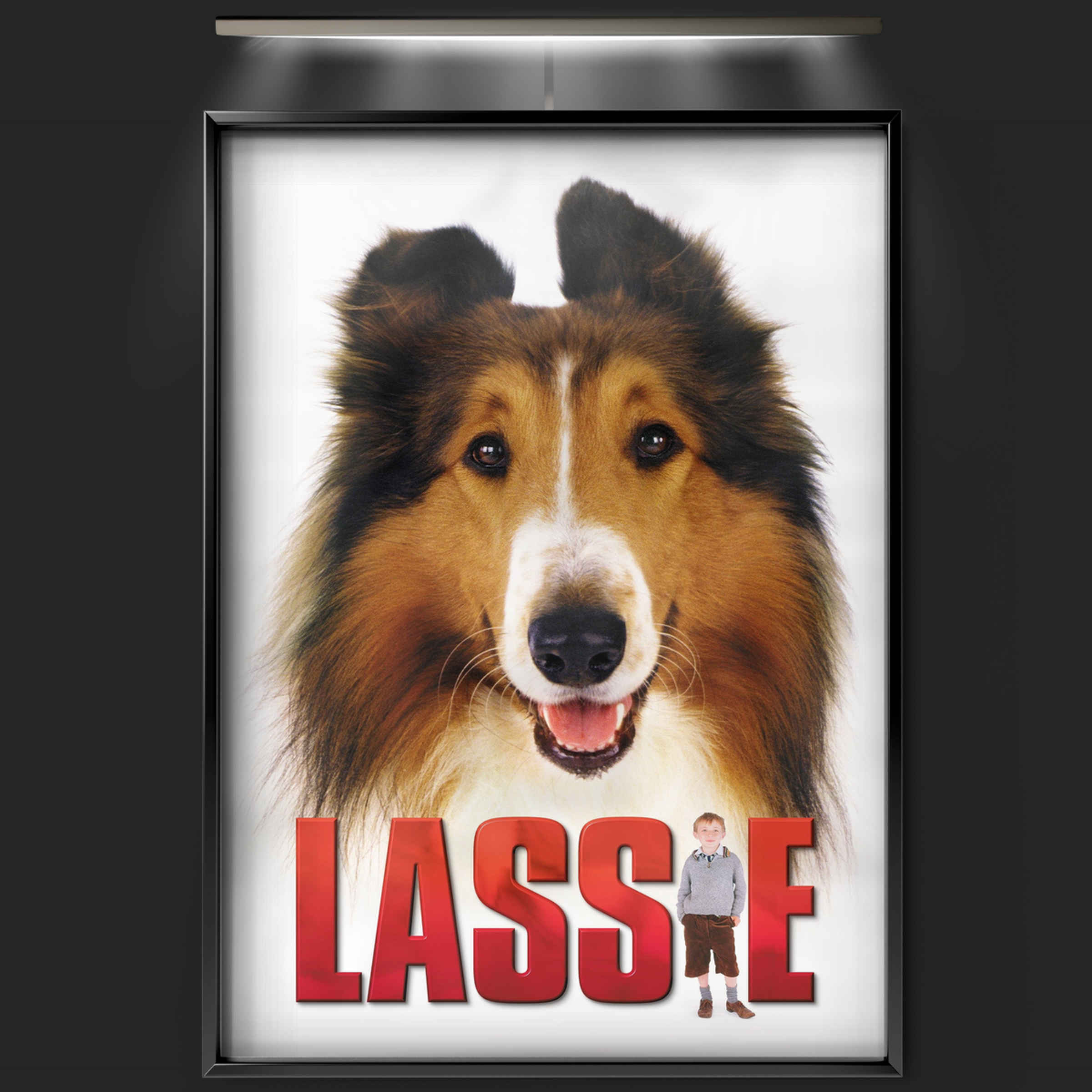 Lassie (2005)