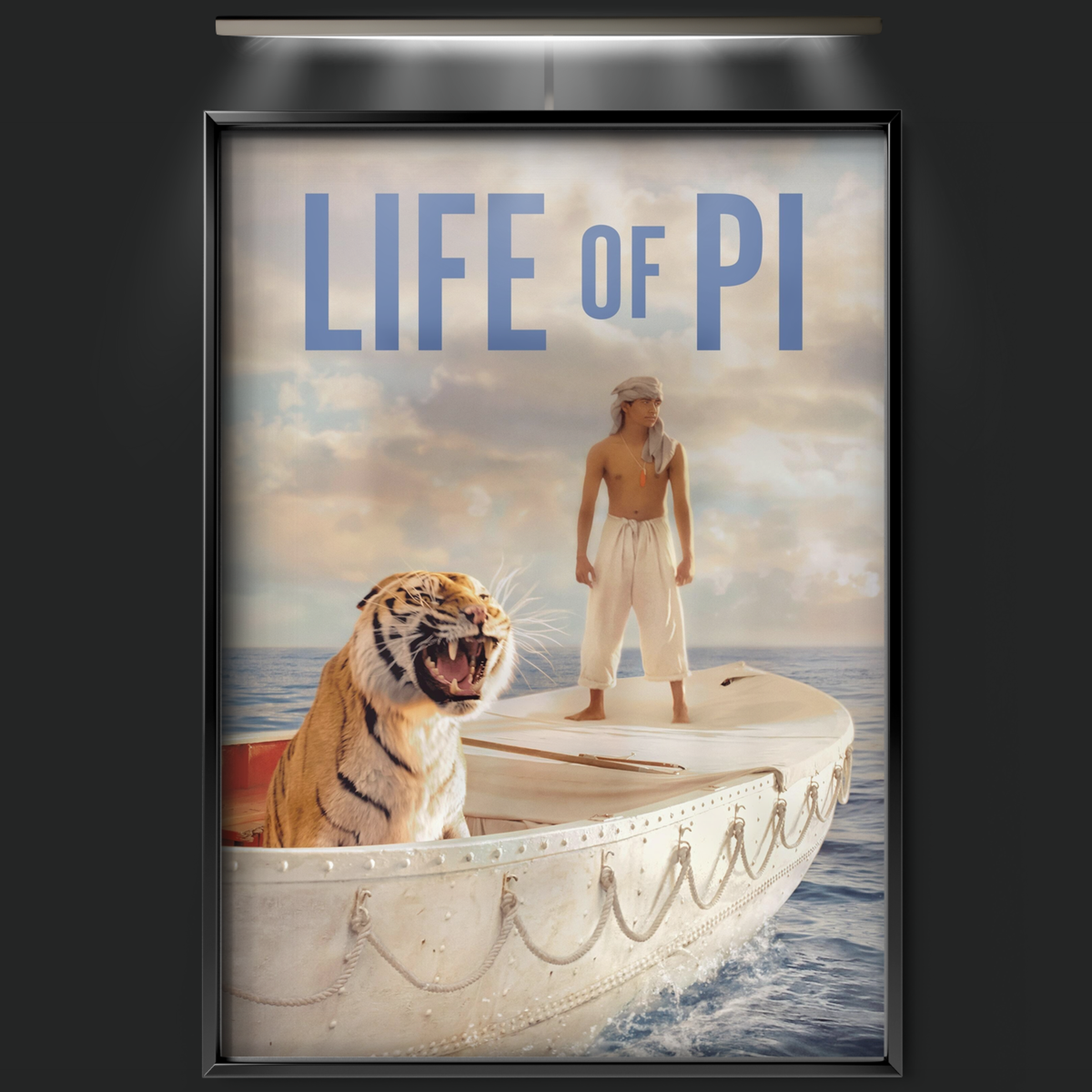 Life Of Pi (2012)