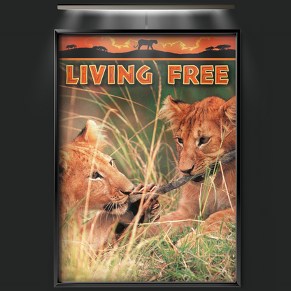 Living Free (1972)