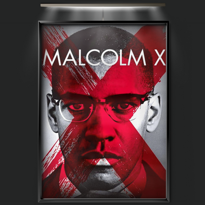 Malcolm X (1992)