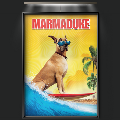Marmaduke (2010)