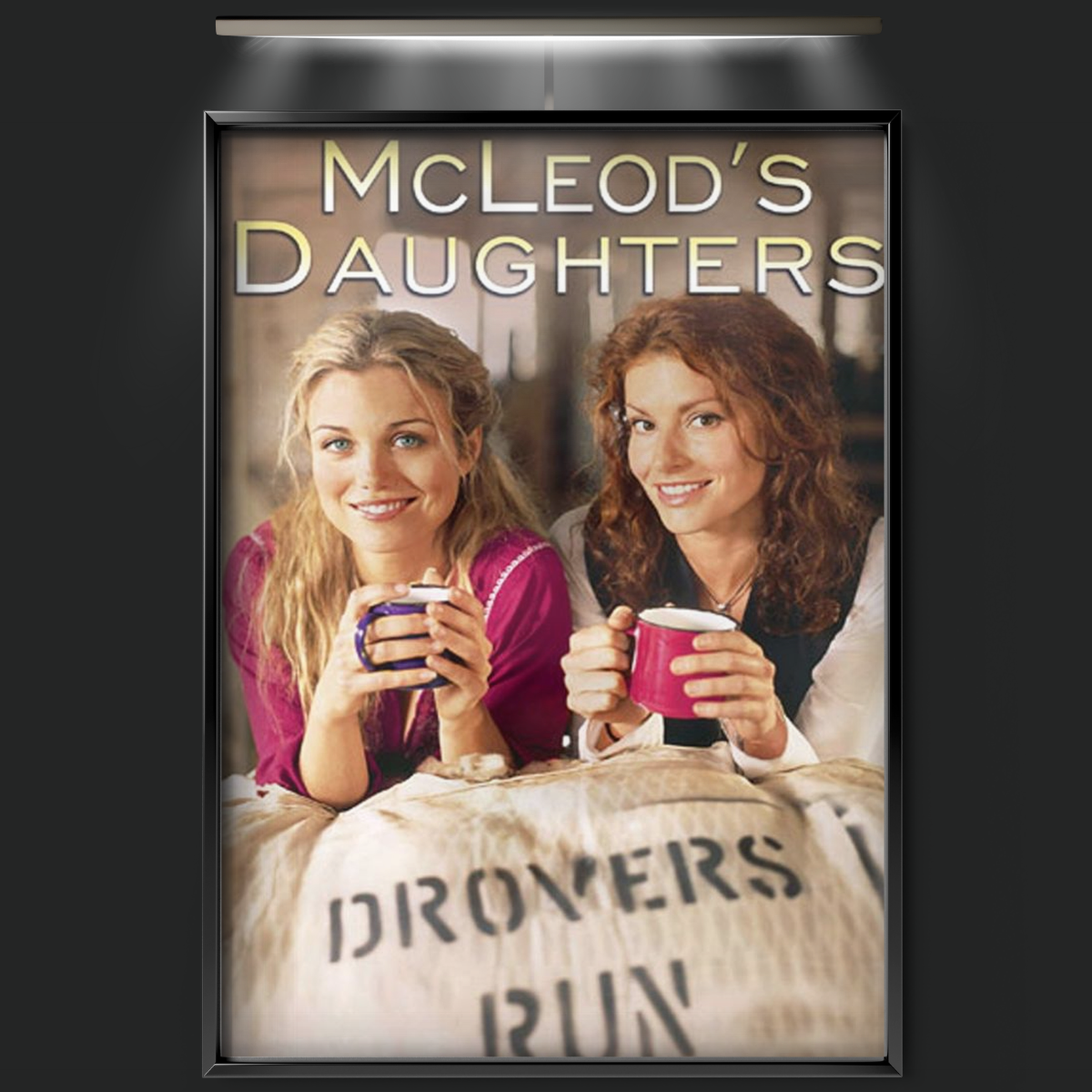 Mcleod's Daughters (2001)