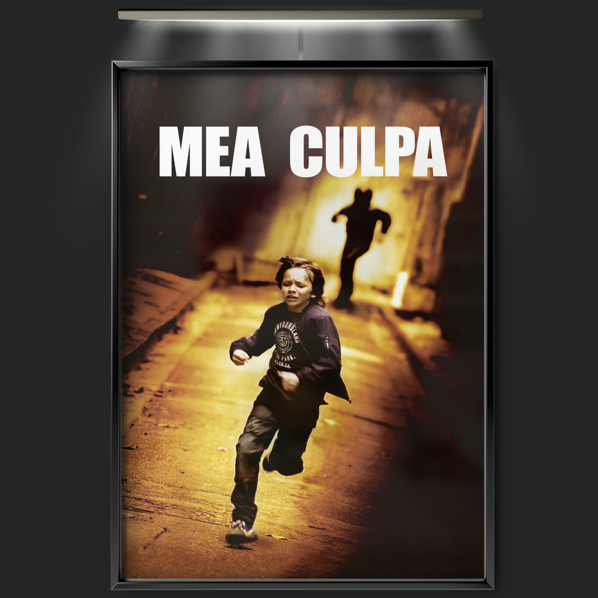 Mea Culpa (2014)