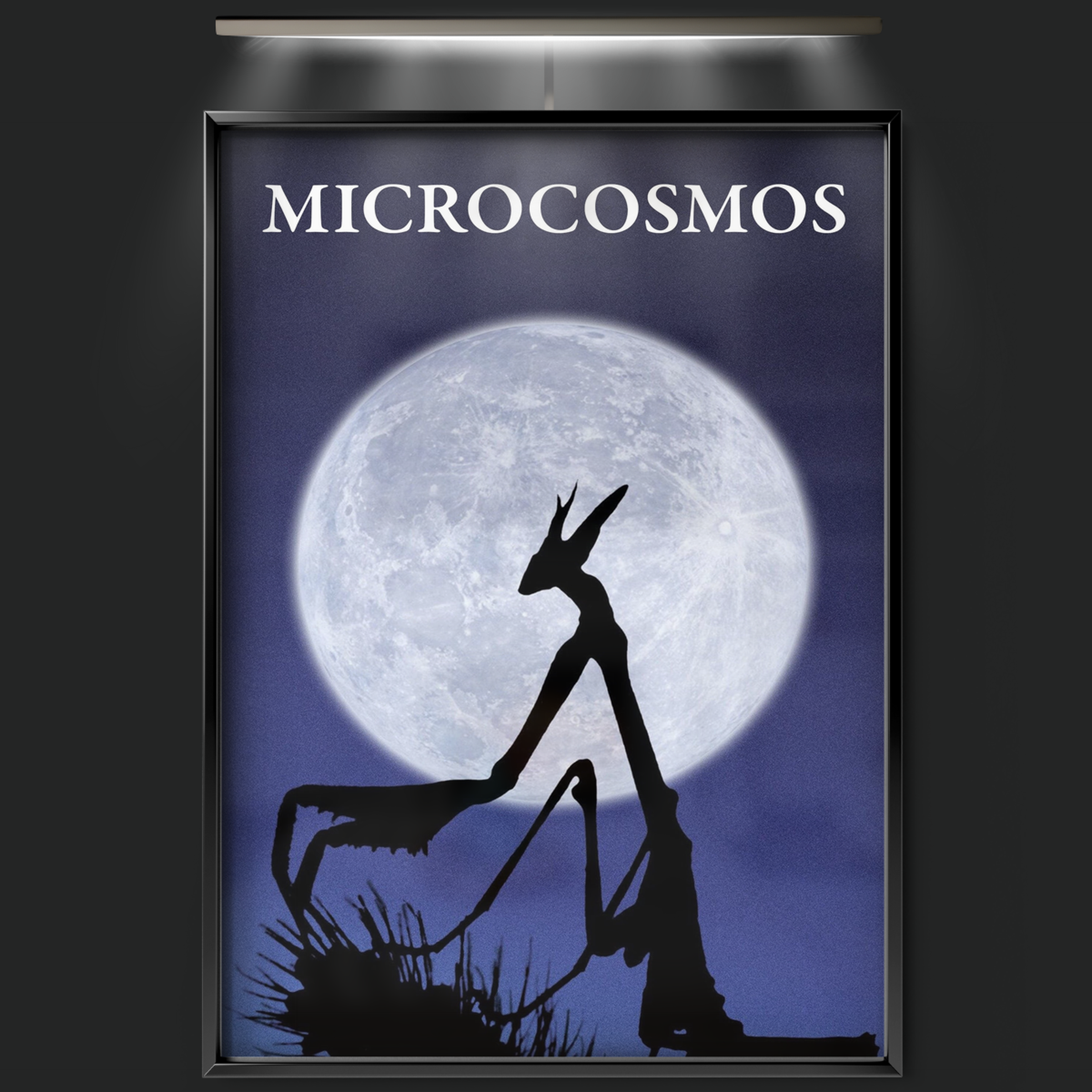Microcosmos (1996)