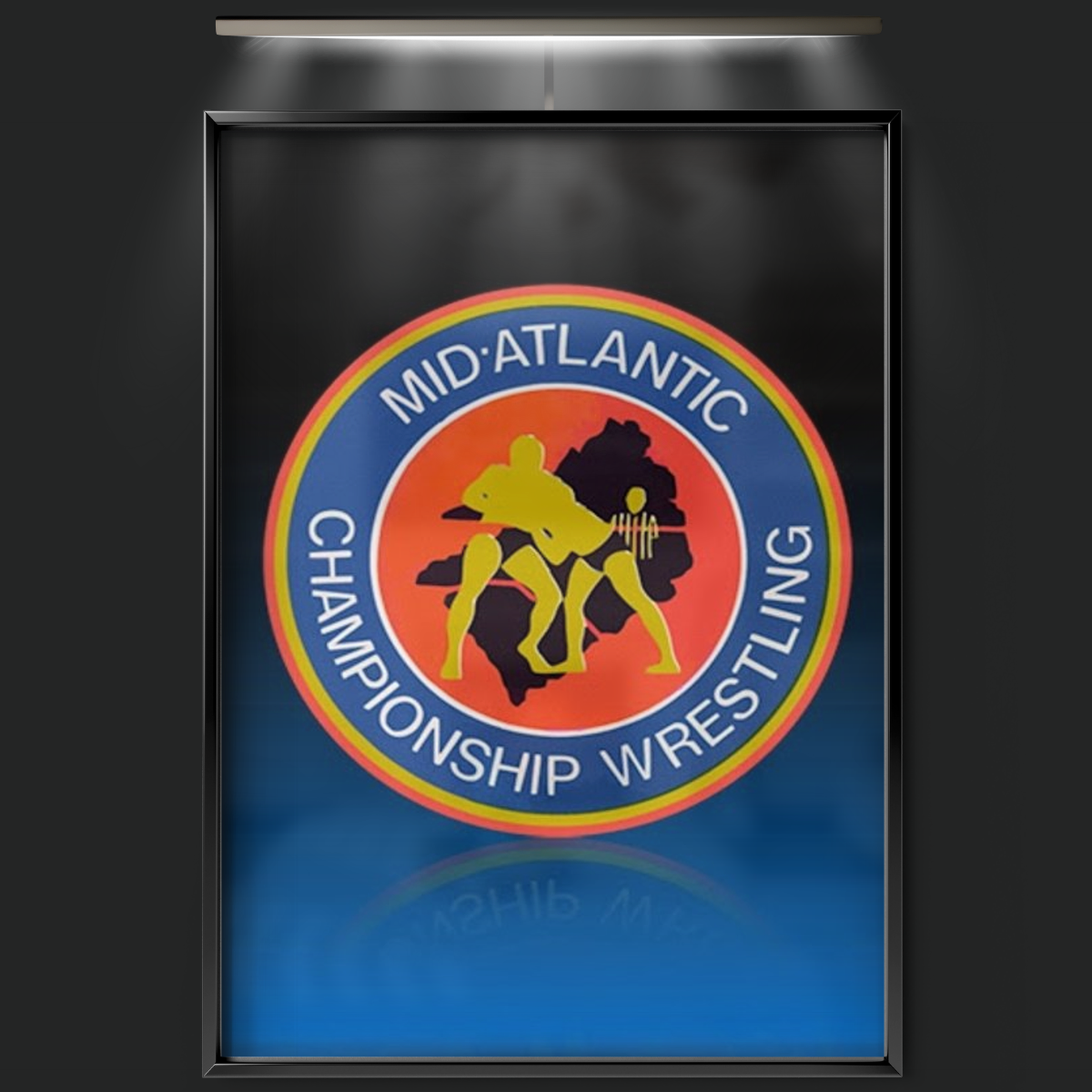 Mid Atlantic Championship Wrestling (1981)