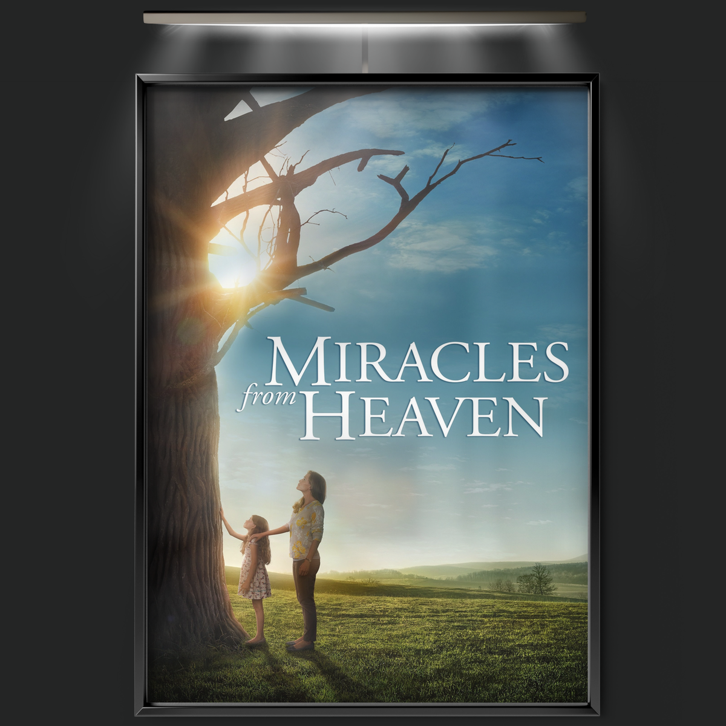 Miracles From Heaven (2016)