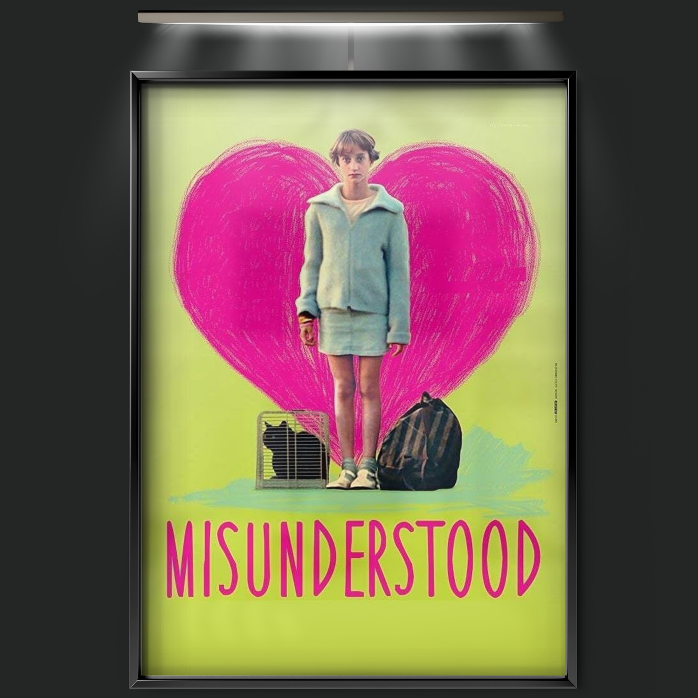 Misunderstood (2014)