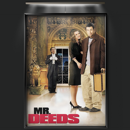 Mr. Deeds (2002)
